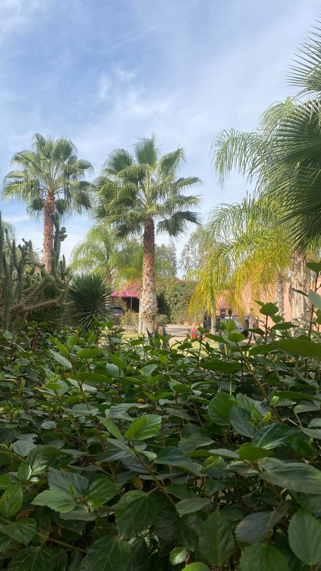 Le Rubis Oriental Marrakech Hotel Azib Oulad Ladem Luaran gambar